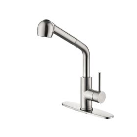 Single Handle Kitchen Sink Faucet with Pull Out Sprayer