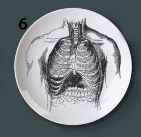 Human bone structure decoration plate (Option: 6style-7 inches)